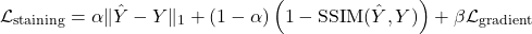 \[\mathcal{L}_{\text{staining}} = \alpha \|\hat{Y} - Y\|_1 + (1 - \alpha) \left(1 - \text{SSIM}(\hat{Y}, Y)\right) + \beta \mathcal{L}_{\text{gradient}}\]