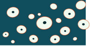 CellSeg