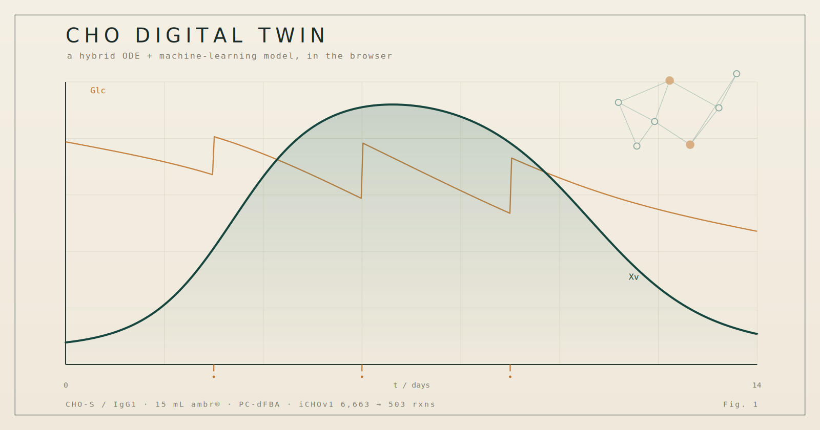 CHO Digital Twin